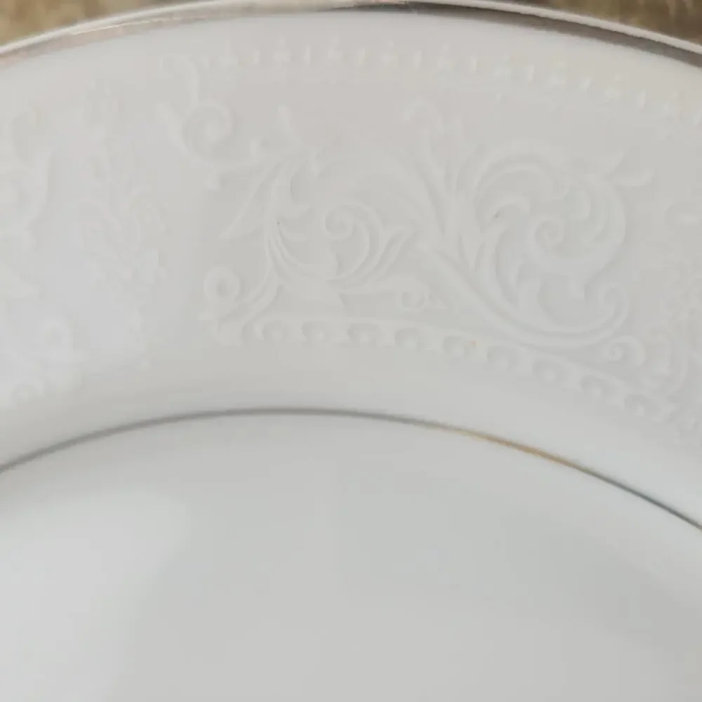 Vintage Lace Bouquet Salem China Company Etched Dinner Plate Platinum Trim Set 2